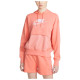 Nike Γυναικείο φούτερ NSW Air Hoodie